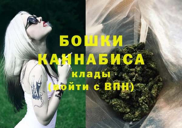 apvp Горняк
