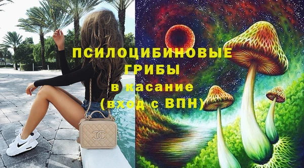 хмурый Горно-Алтайск