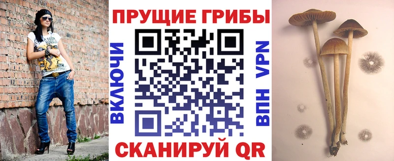 наркошоп  Емва  Псилоцибиновые грибы Magic Shrooms 